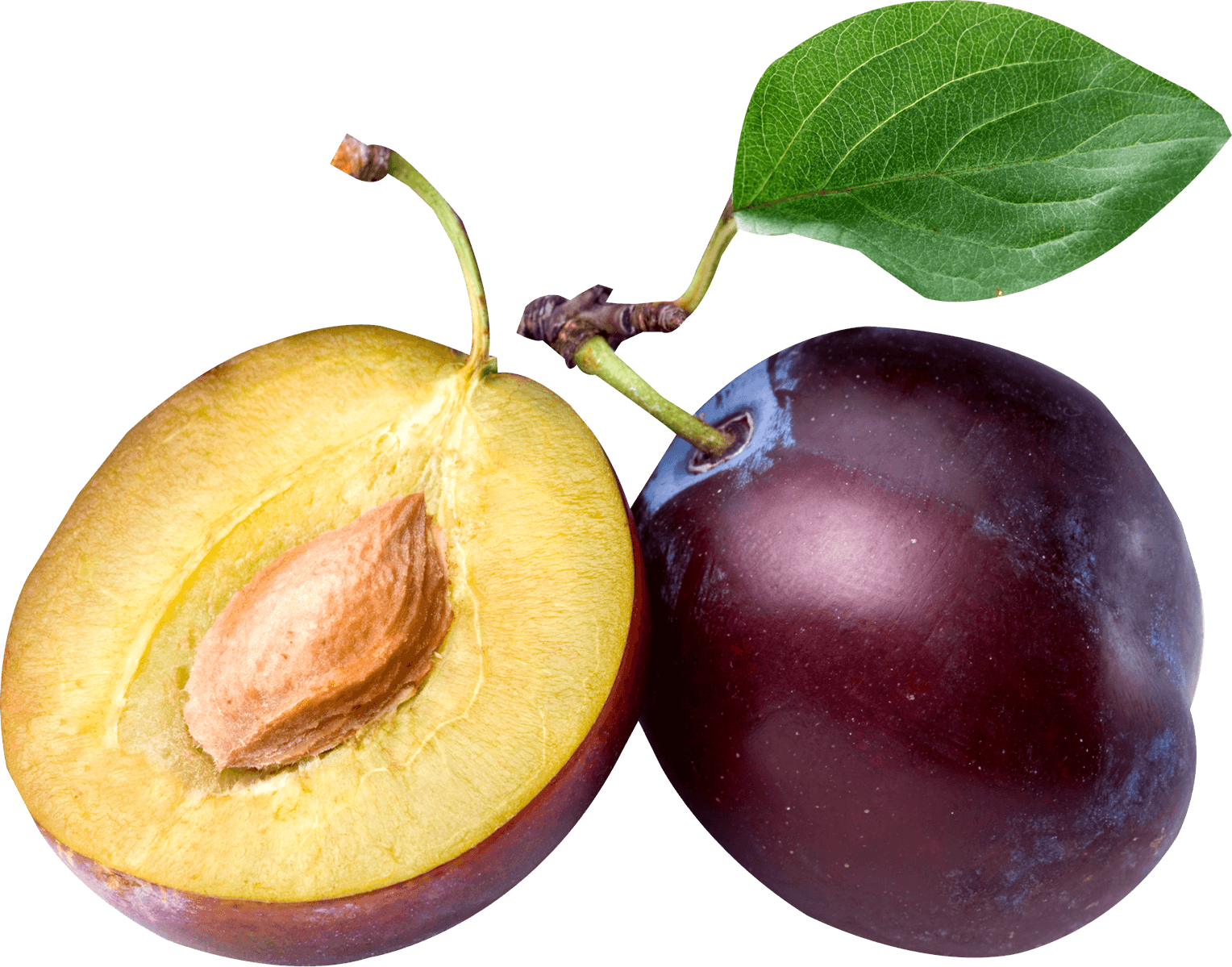 Download Plum Png Image HQ PNG Image FreePNGImg