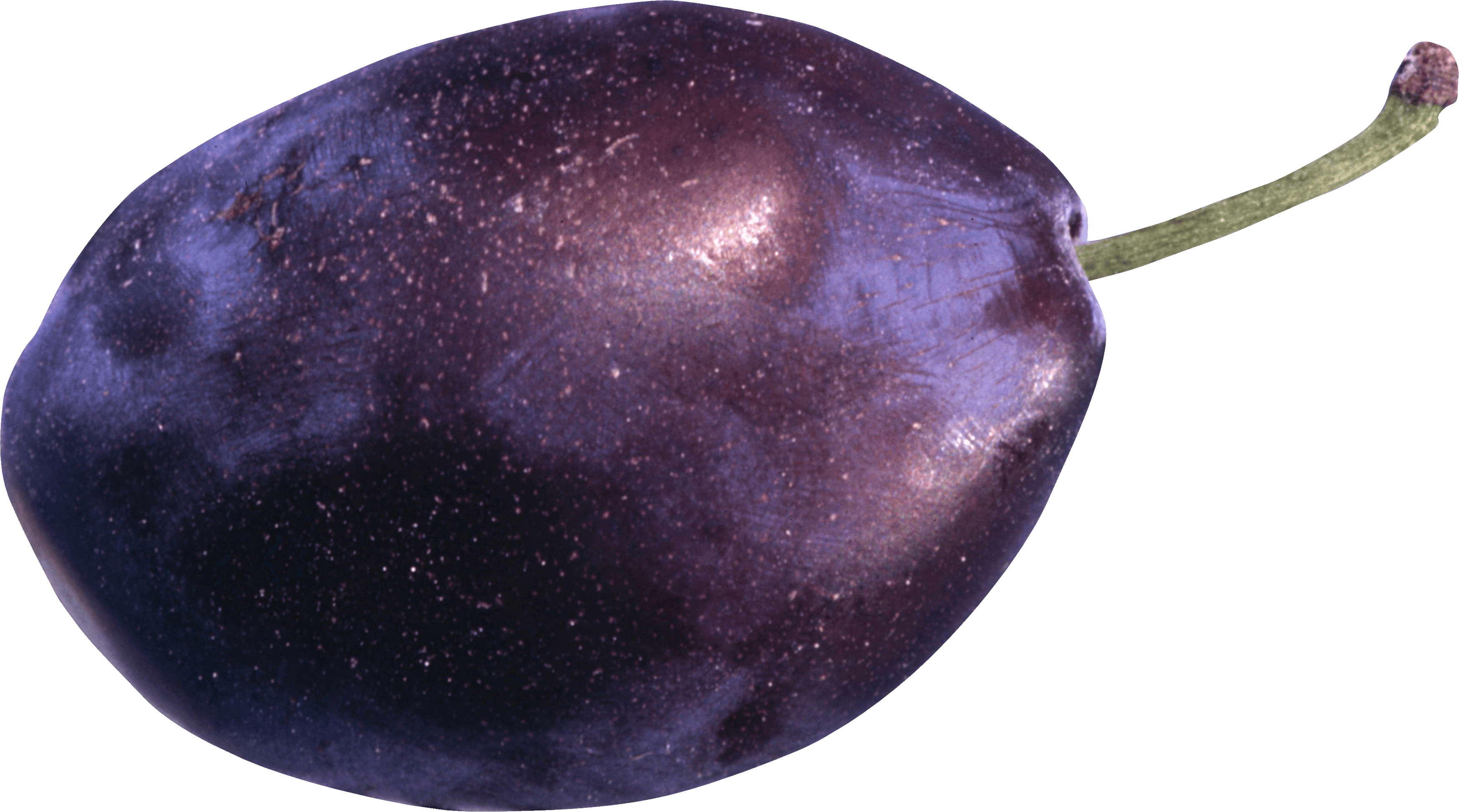 Plum Png Image Transparent PNG Image