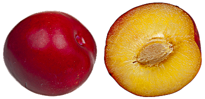 Plum Free Download Png PNG Image