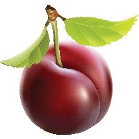 Plum Png Image PNG