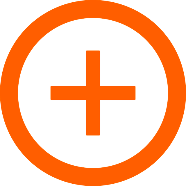 Plus Transparent PNG Image