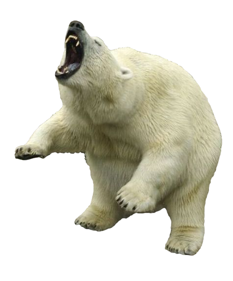 Polar Bear Clipart PNG Image