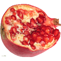 Pomegranate Png Image PNG