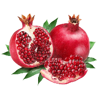 download pomegranate free png photo images and clipart freepngimg download pomegranate free png photo