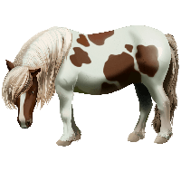 Pony Transparent PNG Image