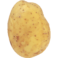 Download Potato Free PNG photo images and clipart | FreePNGImg