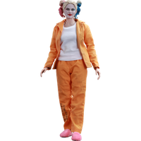 Prisoner PNG