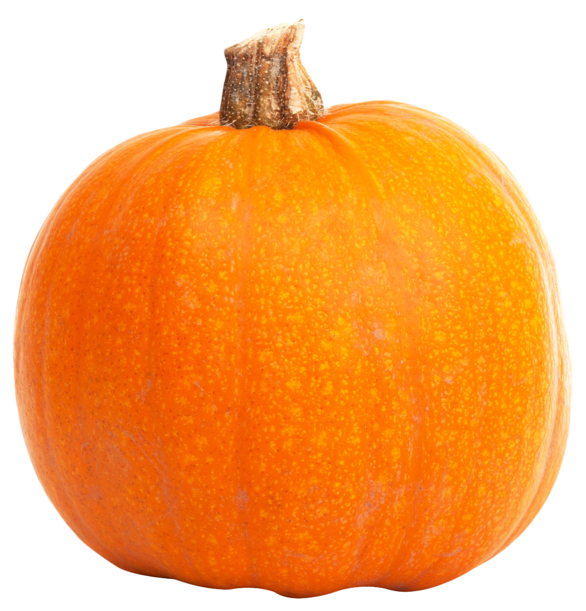Real Pumpkin File PNG Image