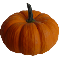 Real Pumpkin Image PNG Image