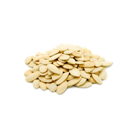 Download Pumpkin Seeds Free PNG photo images and clipart | FreePNGimg