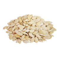 Pumpkin seeds PNG