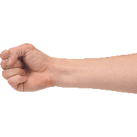 Punch Hand Free Download PNG HD PNG Image