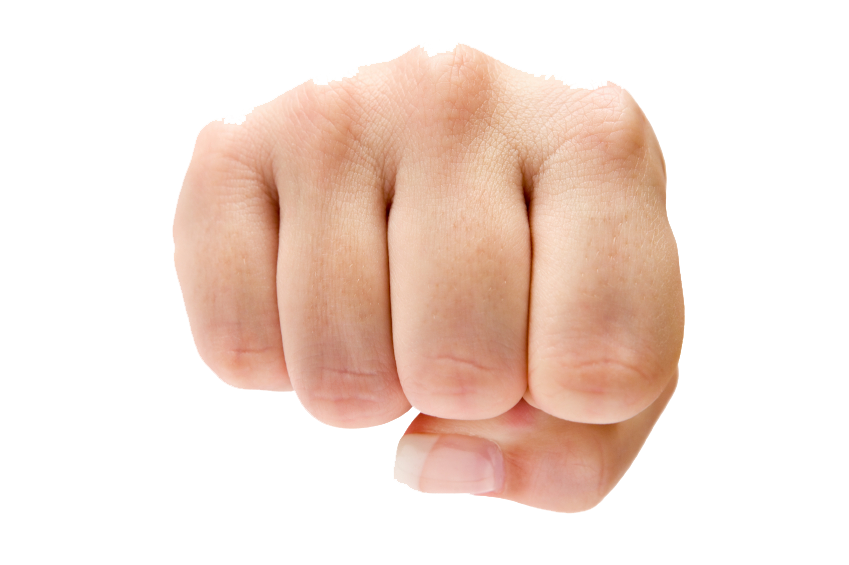 Photos Punch Hand Free Transparent Image HQ PNG Image