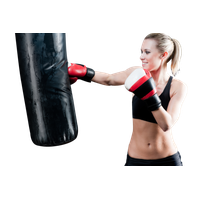 Punching bag PNG