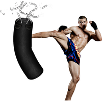 Punching bag PNG