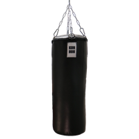 Punching bag PNG