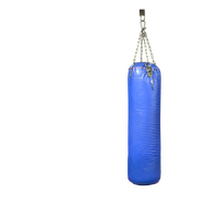 Punching bag PNG Image
