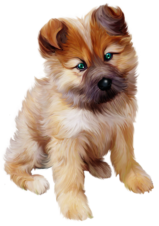 Puppy Photos PNG Image
