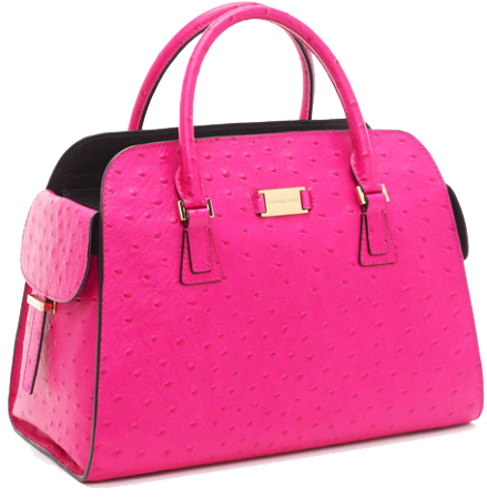 Purse Picture PNG Image