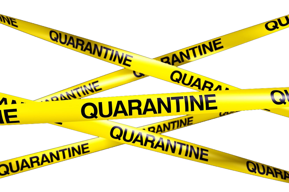 Quarantine PNG Image High Quality PNG Image