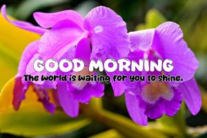 Quote of the Day - 04-07-2025