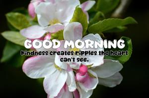 Quote of the Day - 06-07-2025