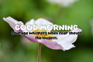 Quote of the Day - 11-09-2025