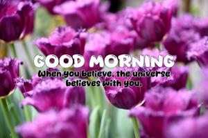 Quote of the Day - 16-05-2025