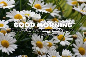 Quote of the Day - 17-05-2025