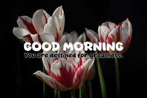 Quote of the Day - 18-05-2025