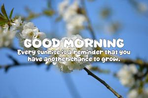 Quote of the Day - 29-07-2025