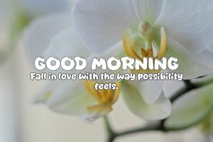 Quote of the Day - 30-07-2025