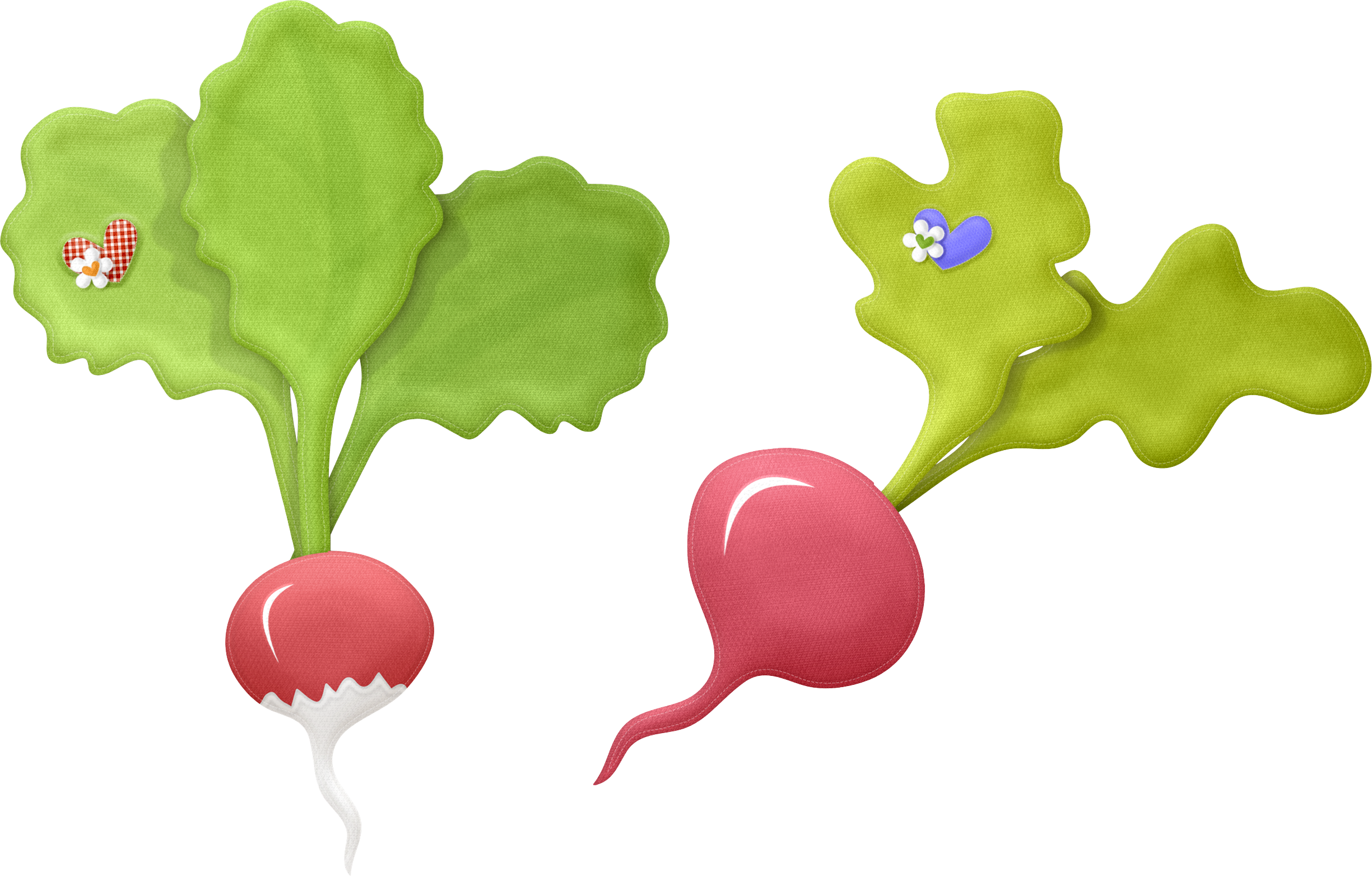 Radish Transparent PNG Image