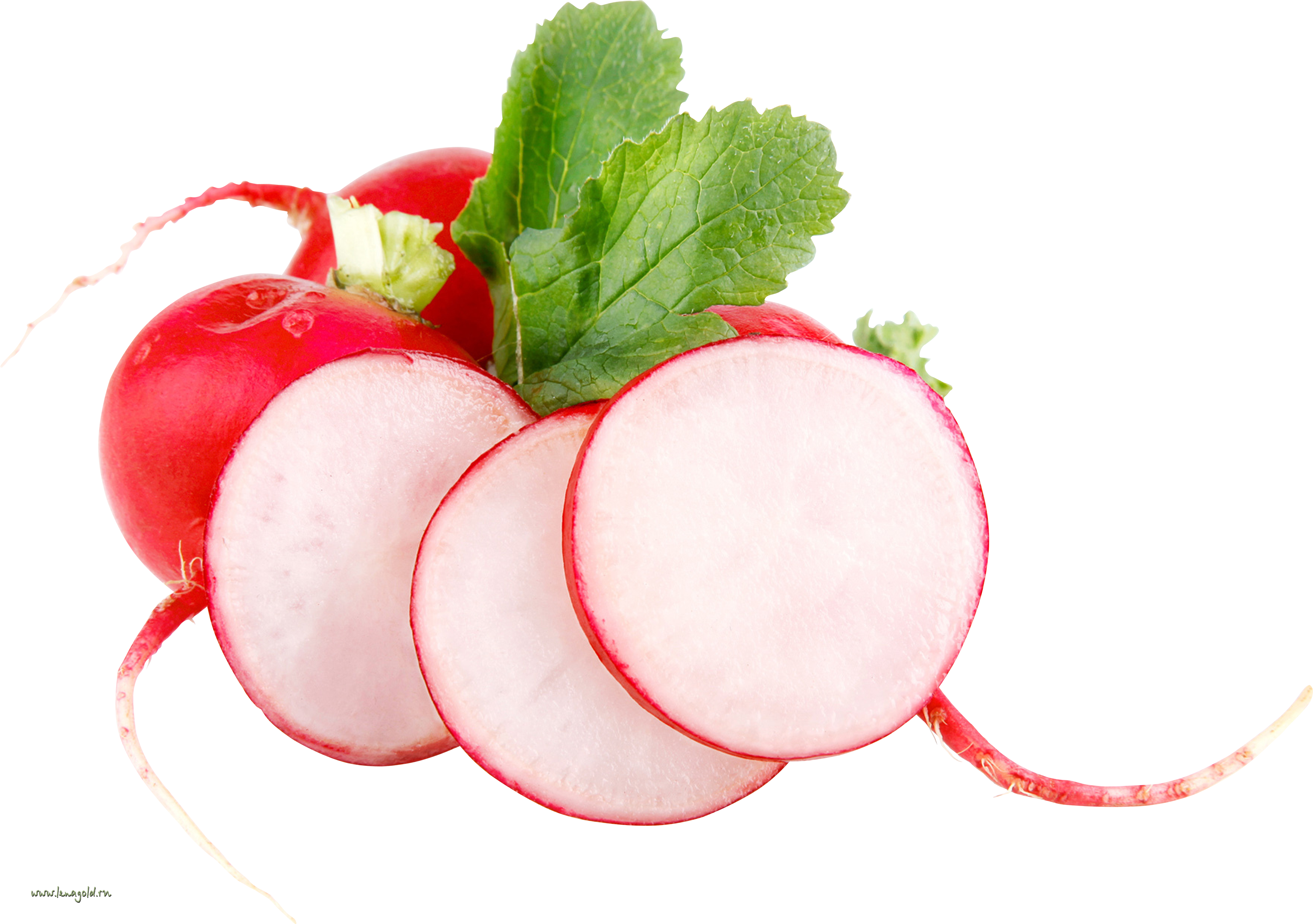 Radish Transparent PNG Image