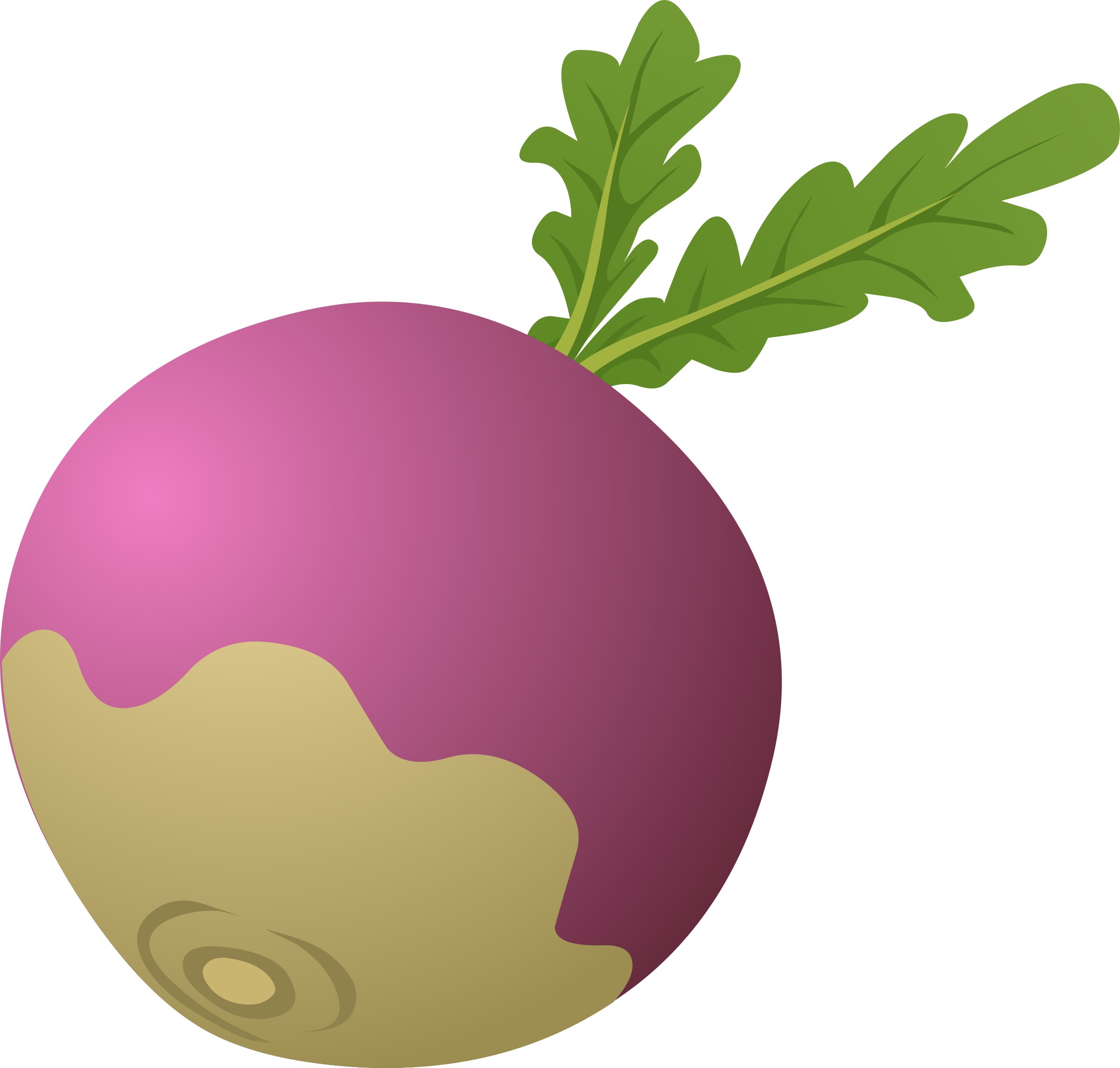 Radish Transparent PNG Image