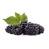 Black Raspberries Photos PNG
