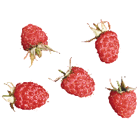 Rraspberry Png Image