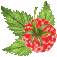 Rraspberry Png Image