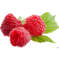 download raspberry png file hq png image freepngimg raspberry png file hq png image