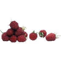 Rraspberry Png Image PNG Image