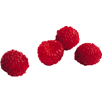 Rraspberry Png Image