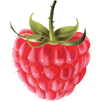 Rraspberry Png Image