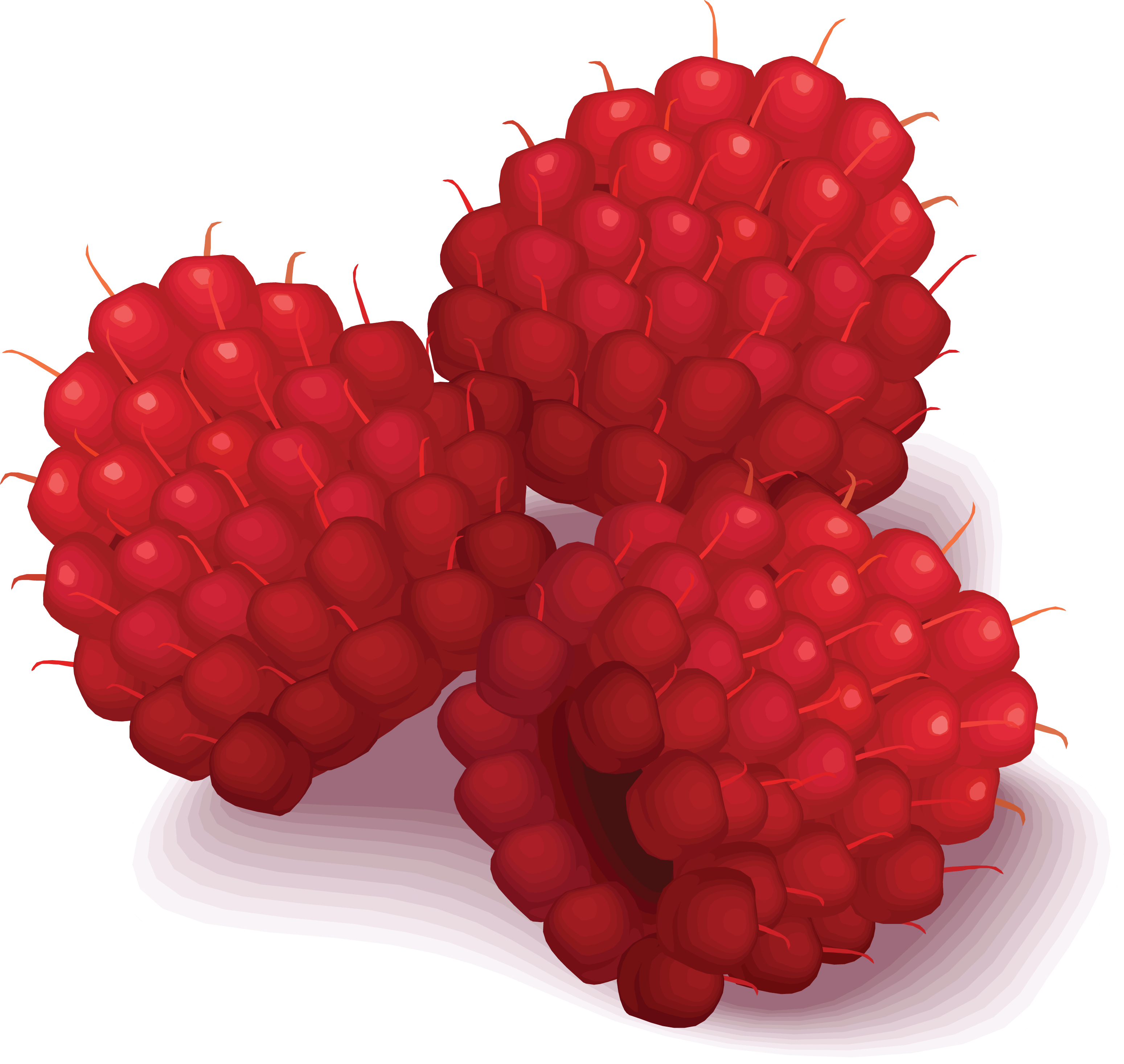 Rraspberry Png Image PNG Image