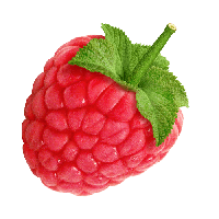 Rraspberry Png Image
