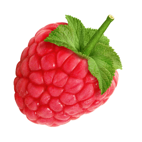 Rraspberry Png Image PNG Image