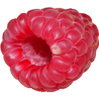 Rraspberry Png Image PNG Image
