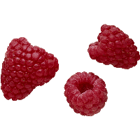 Rraspberry Png Image Transparent PNG Image