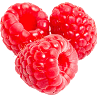 download raspberry free png photo images and clipart freepngimg download raspberry free png photo