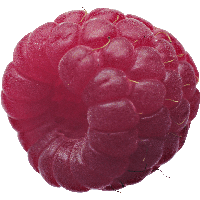 Rraspberry Png Image