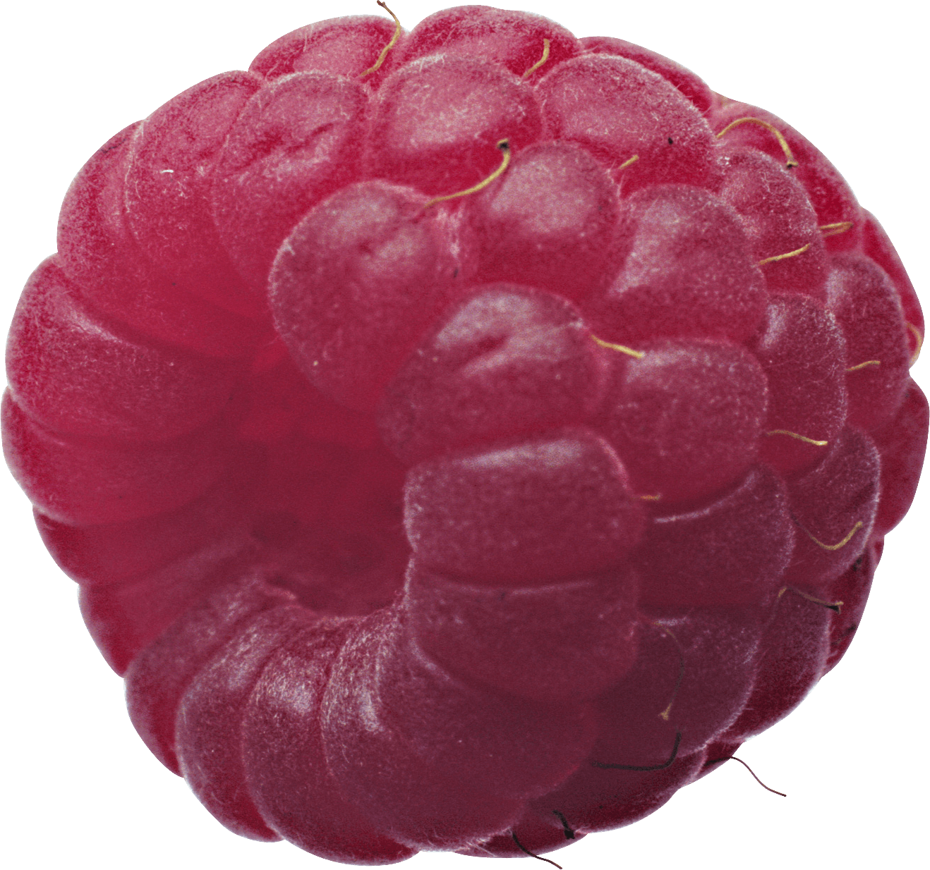 Rraspberry Png Image PNG Image